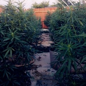 Meet your Posher, Mari